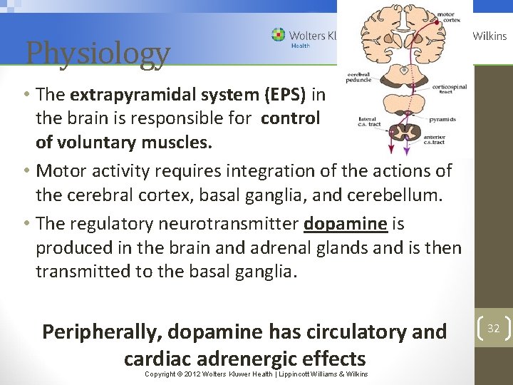 Physiology • The extrapyramidal system (EPS) in the brain is responsible for control of