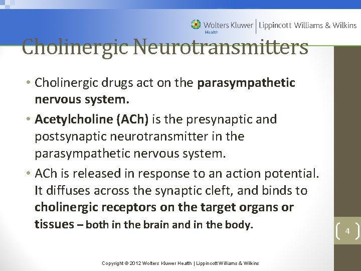 Cholinergic Neurotransmitters • Cholinergic drugs act on the parasympathetic nervous system. • Acetylcholine (ACh)