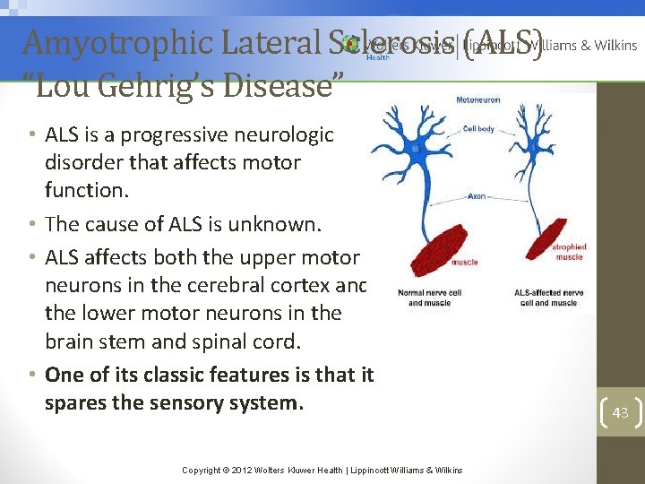 Amyotrophic Lateral Sclerosis (ALS) “Lou Gehrig’s Disease” • ALS is a progressive neurologic disorder