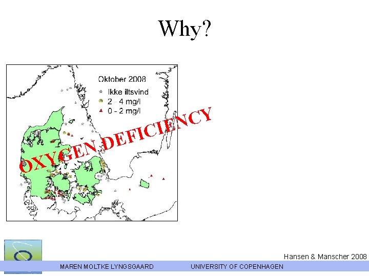 Why? OX C I F E D N E G Y MAREN MOLTKE LYNGSGAARD