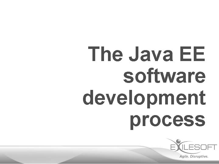 The Java EE software development process 