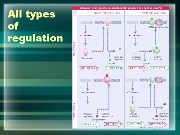 All types of regulation 
