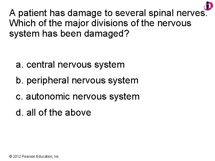 A patient has damage to several spinal nerves. Which of the major divisions of