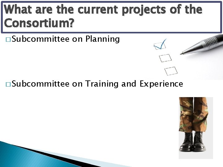 What are the current projects of the Consortium? � Subcommittee on Planning � Subcommittee