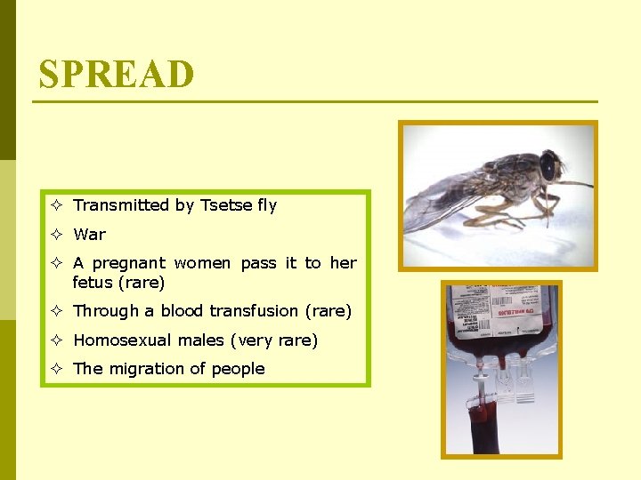 SPREAD ² Transmitted by Tsetse fly ² War ² A pregnant women pass it
