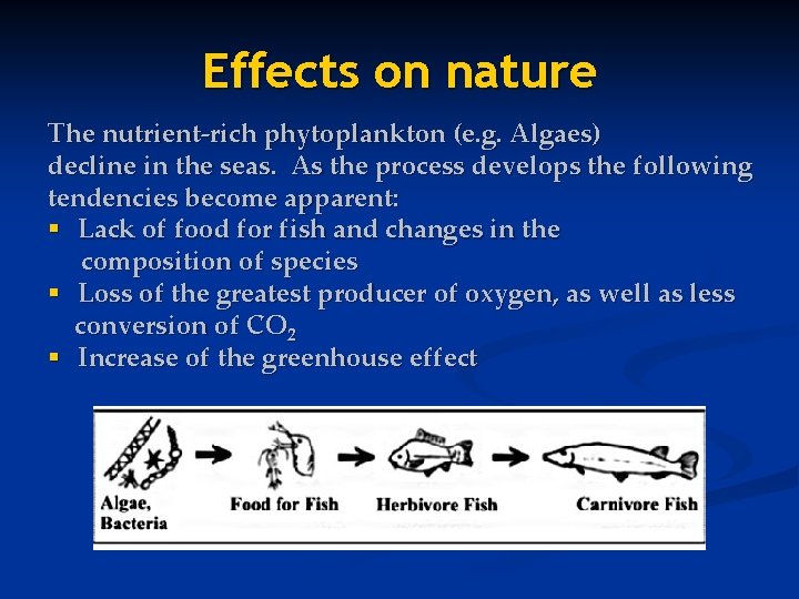 Effects on nature The nutrient-rich phytoplankton (e. g. Algaes) decline in the seas. As