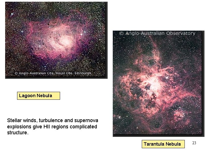 Lagoon Nebula Stellar winds, turbulence and supernova explosions give HII regions complicated structure. Tarantula