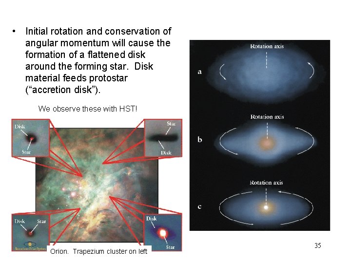  • Initial rotation and conservation of angular momentum will cause the formation of