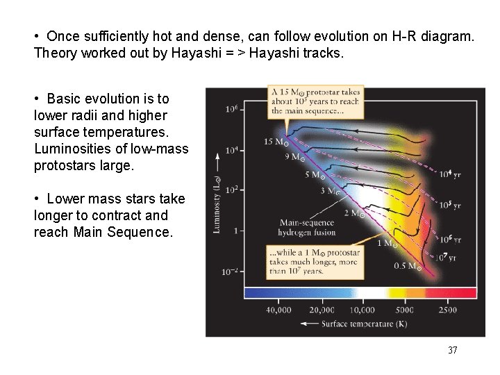  • Once sufficiently hot and dense, can follow evolution on H-R diagram. Theory