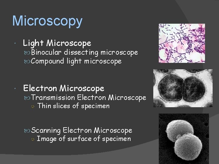 Microscopy Light Microscope Electron Microscope Binocular dissecting microscope Compound light microscope Transmission Electron Microscope