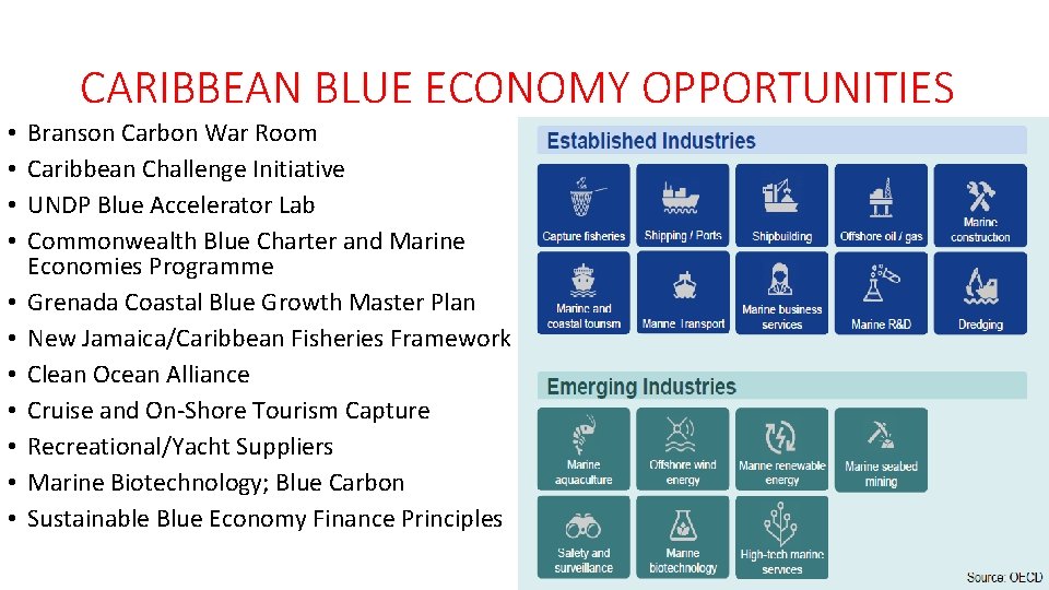 CARIBBEAN BLUE ECONOMY OPPORTUNITIES • • • Branson Carbon War Room Caribbean Challenge Initiative