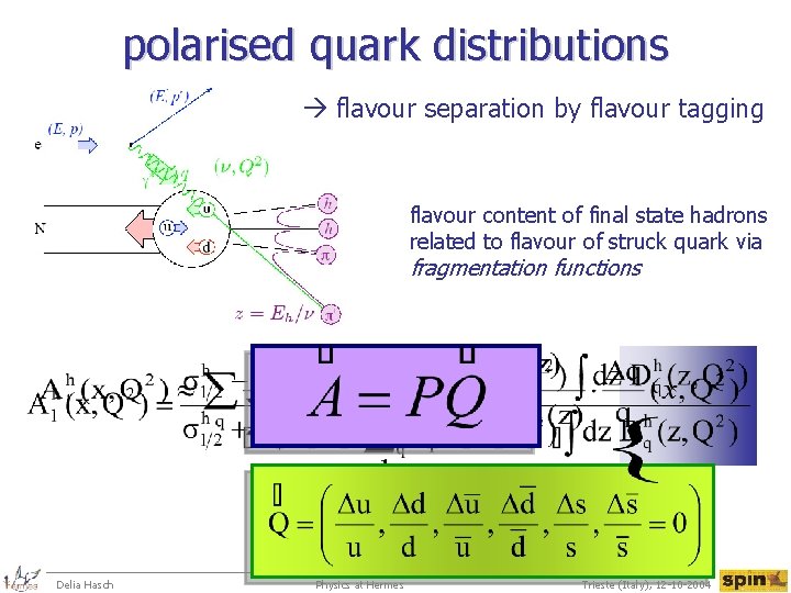 polarised quark distributions flavour separation by flavour tagging flavour content of final state hadrons
