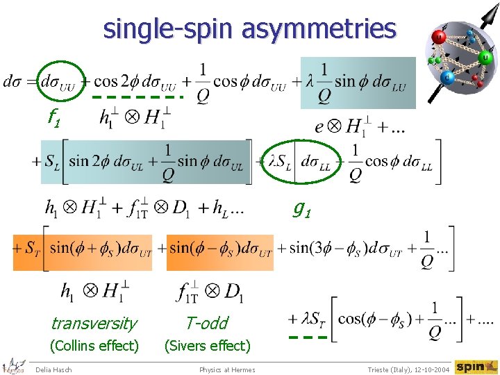 single-spin asymmetries f 1 g 1 transversity T-odd (Collins effect) (Sivers effect) Delia Hasch