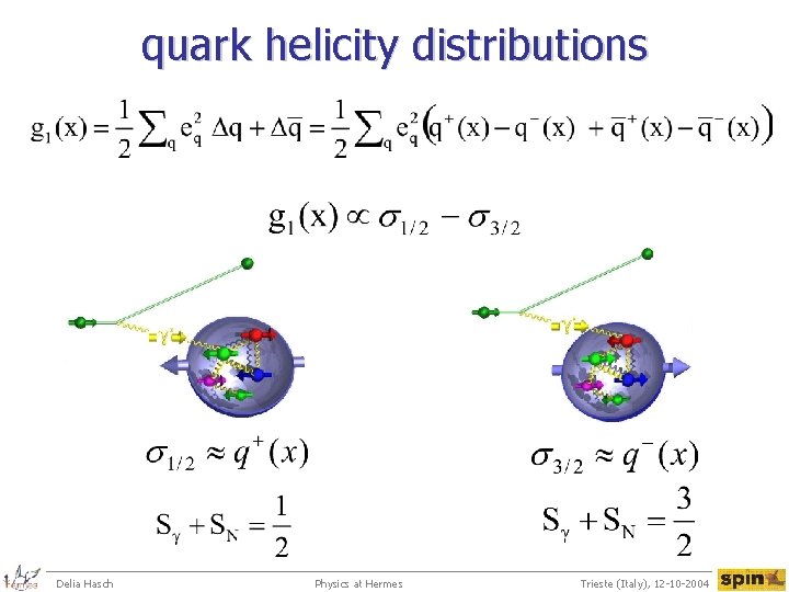 quark helicity distributions Delia Hasch Physics at Hermes Trieste (Italy), 12 -10 -2004 