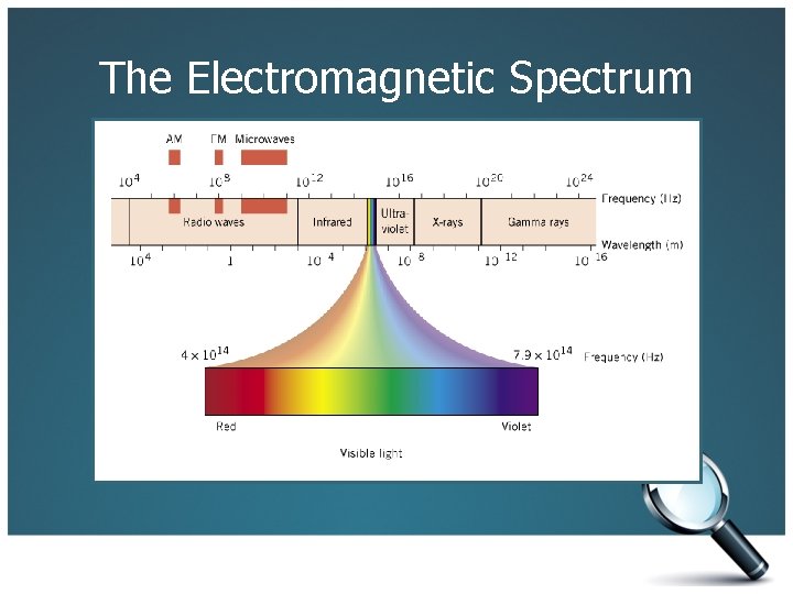 The Electromagnetic Spectrum 