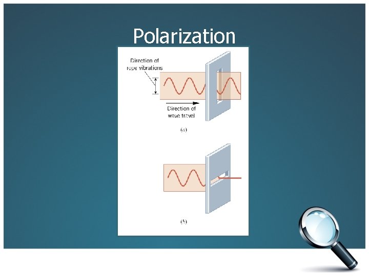 Polarization 