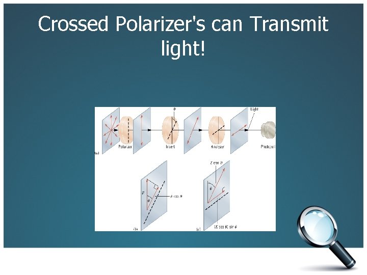 Crossed Polarizer's can Transmit light! 