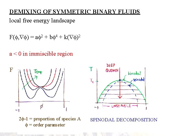 DEMIXING OF SYMMETRIC BINARY FLUIDS local free energy landscape F( , ) = a