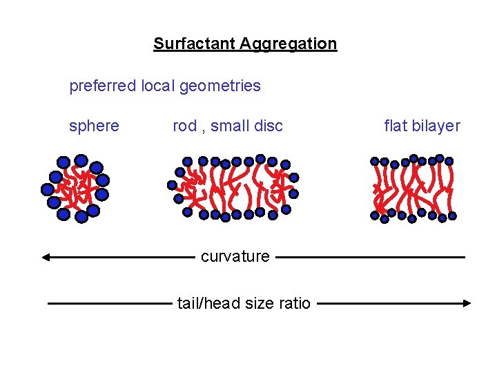 Surfactant Aggregation preferred local geometries sphere rod , small disc curvature tail/head size ratio