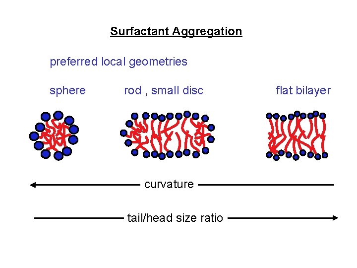Surfactant Aggregation preferred local geometries sphere rod , small disc curvature tail/head size ratio Surfactant Aggregation preferred local geometries sphere rod , small disc curvature tail/head size ratio