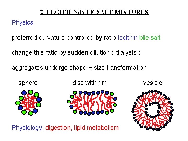 2. LECITHIN/BILE-SALT MIXTURES Physics: preferred curvature controlled by ratio lecithin: bile salt change this