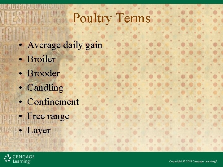 Poultry Terms • • Average daily gain Broiler Brooder Candling Confinement Free range Layer