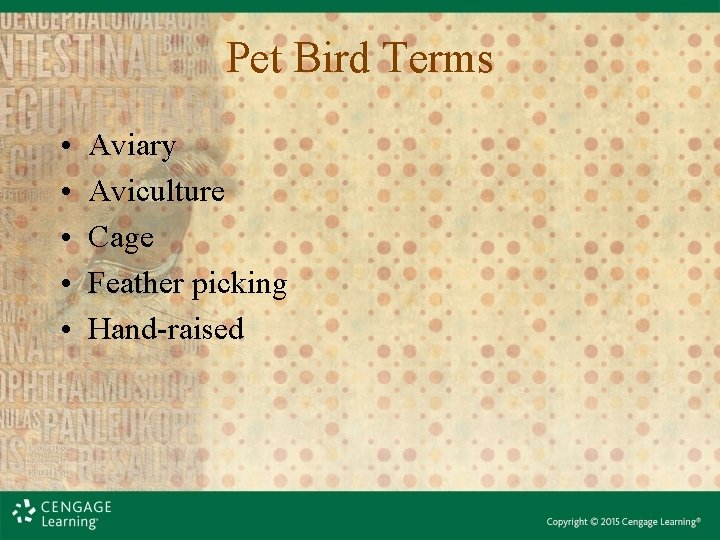 Pet Bird Terms • • • Aviary Aviculture Cage Feather picking Hand-raised 