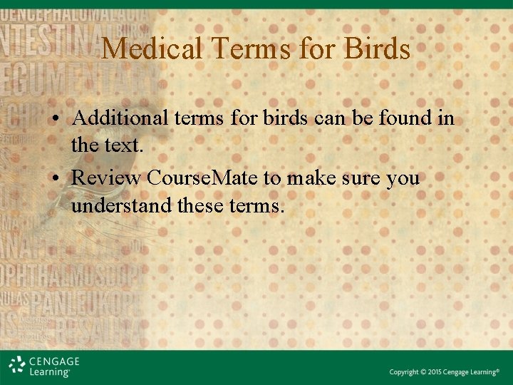 Medical Terms for Birds • Additional terms for birds can be found in the
