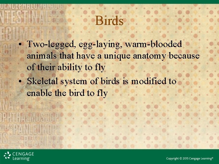 Birds • Two-legged, egg-laying, warm-blooded animals that have a unique anatomy because of their