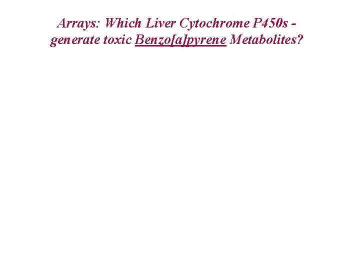 Arrays: Which Liver Cytochrome P 450 s generate toxic Benzo[a]pyrene Metabolites? 