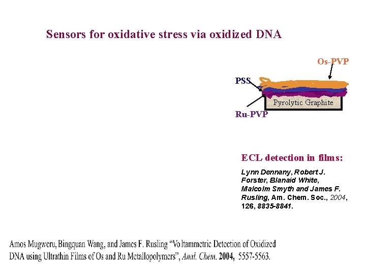 Sensors for oxidative stress via oxidized DNA Os-PVP PSS Pyrolytic Graphite Ru-PVP ECL detection