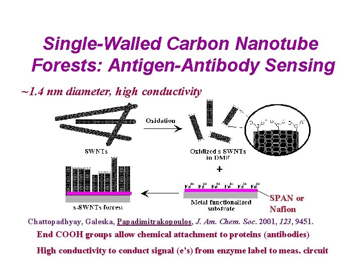 Single-Walled Carbon Nanotube Forests: Antigen-Antibody Sensing ~1. 4 nm diameter, high conductivity SPAN or