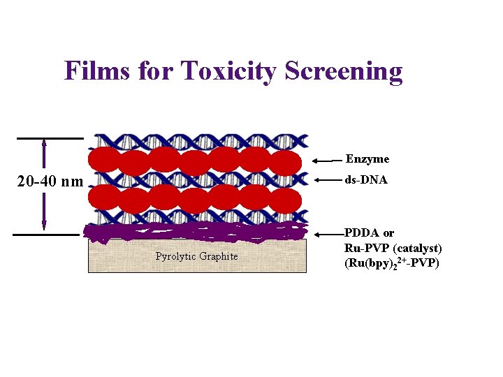 Films for Toxicity Screening Enzyme 20 -40 nm ds-DNA Pyrolytic Graphite PDDA or Ru-PVP