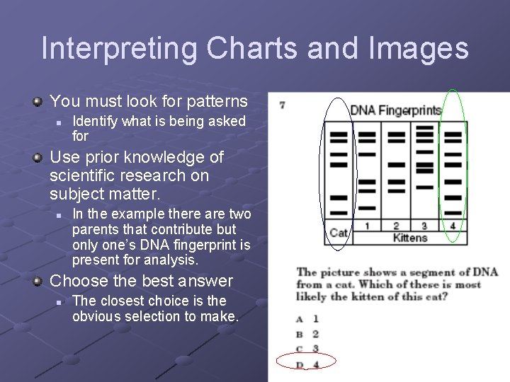Interpreting Charts and Images You must look for patterns n Identify what is being