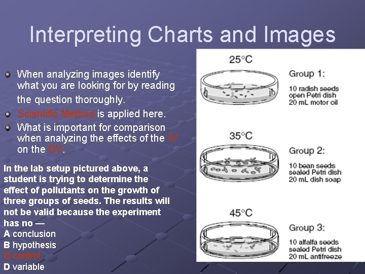 Interpreting Charts and Images When analyzing images identify what you are looking for by