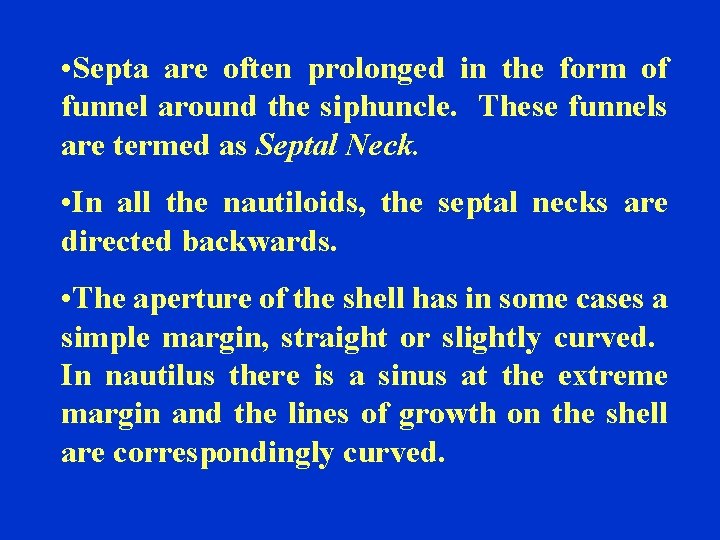  • Septa are often prolonged in the form of funnel around the siphuncle.