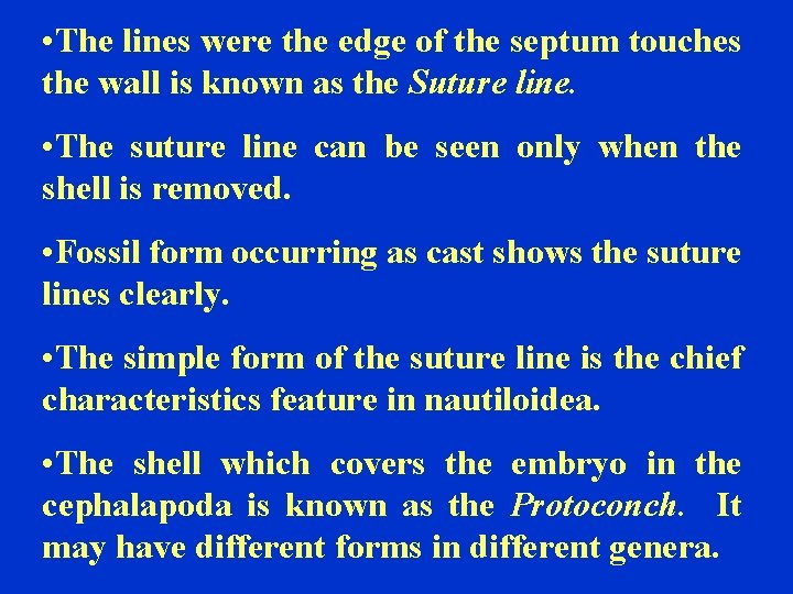  • The lines were the edge of the septum touches the wall is