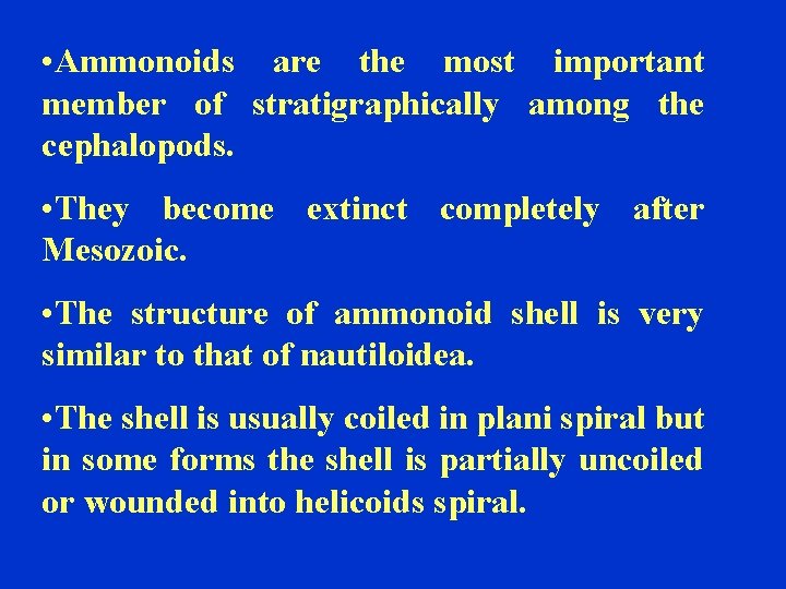  • Ammonoids are the most important member of stratigraphically among the cephalopods. •