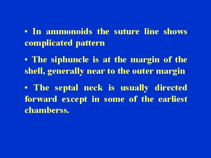  • In ammonoids the suture line shows complicated pattern • The siphuncle is