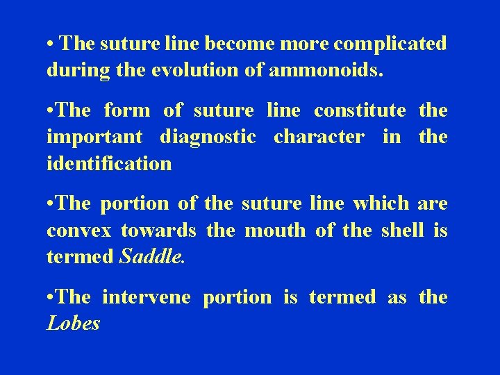  • The suture line become more complicated during the evolution of ammonoids. •
