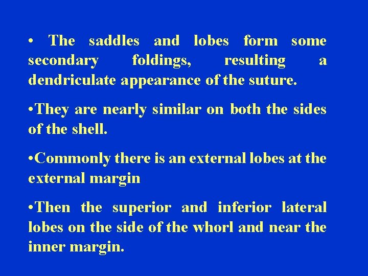  • The saddles and lobes form some secondary foldings, resulting a dendriculate appearance