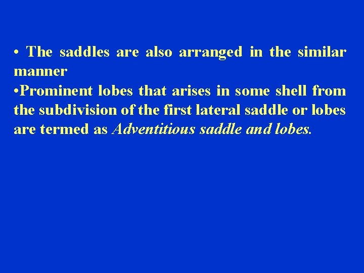  • The saddles are also arranged in the similar manner • Prominent lobes