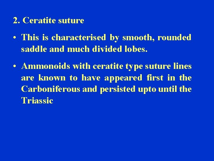 2. Ceratite suture • This is characterised by smooth, rounded saddle and much divided