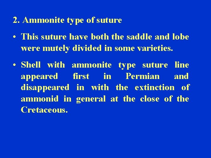2. Ammonite type of suture • This suture have both the saddle and lobe