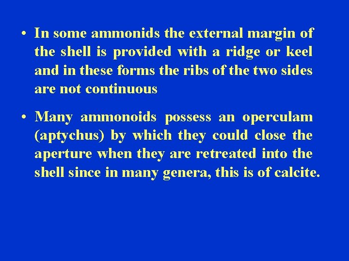  • In some ammonids the external margin of the shell is provided with