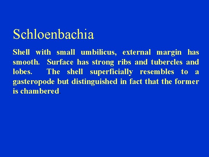 Schloenbachia Shell with small umbilicus, external margin has smooth. Surface has strong ribs and