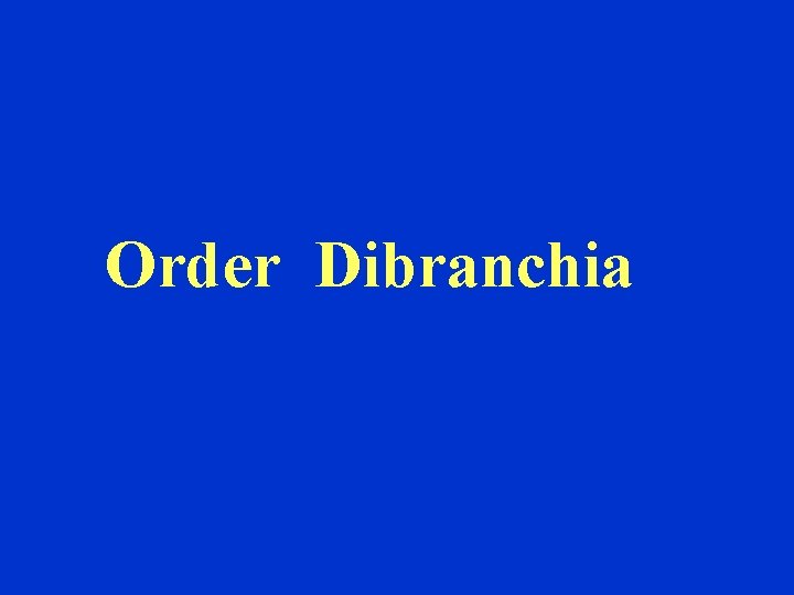 Order Dibranchia 