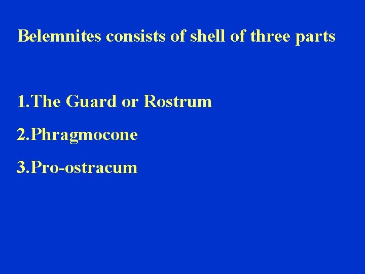 Belemnites consists of shell of three parts 1. The Guard or Rostrum 2. Phragmocone