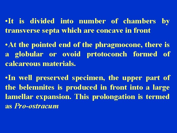  • It is divided into number of chambers by transverse septa which are