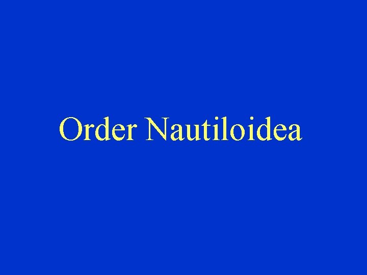 Order Nautiloidea 